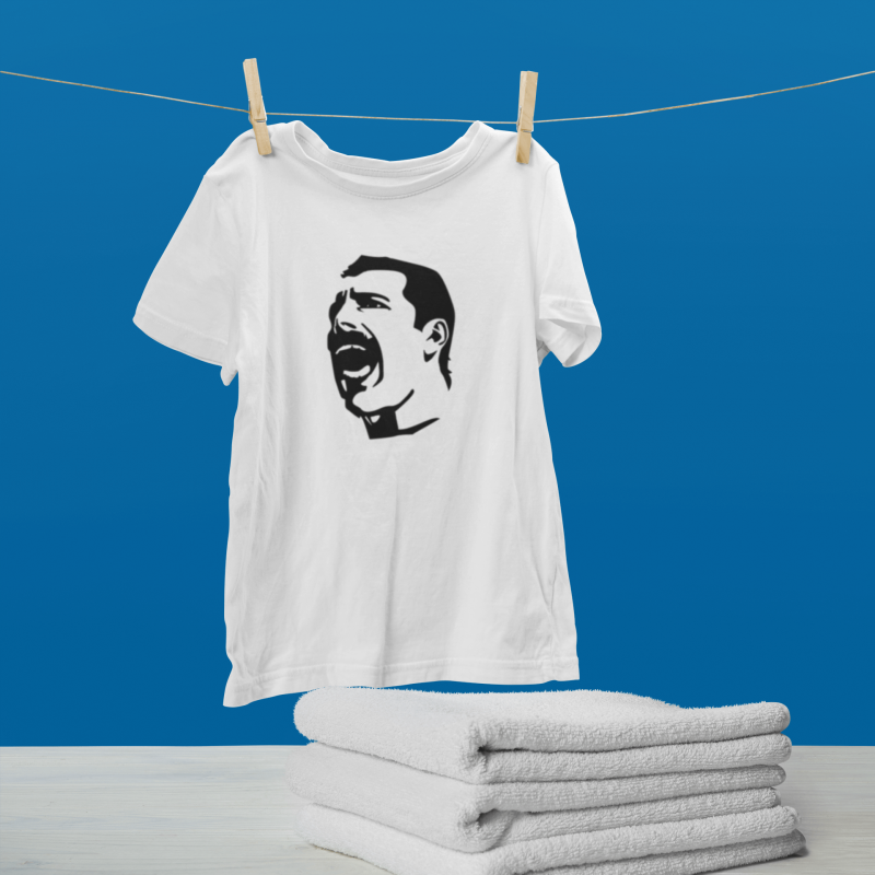 t-krekls ar apdruku “Freddie Mercury”, dāvana vīrietim
